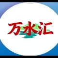 万水汇-临高老许