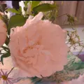 上海陆家嘴心理咨询中心