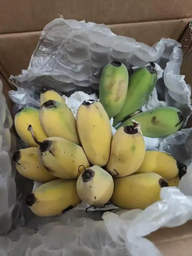 水果供应链招团长，可一件代发，品质货源-2
