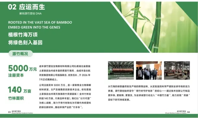 全国诚招代理， 主要经营全生物降解袋装制品-2