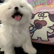 传奇打金人