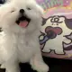 传奇打金人头像