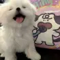 传奇打金人头像