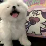 传奇打金人