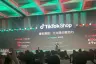 TK小杨