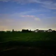 冯经理