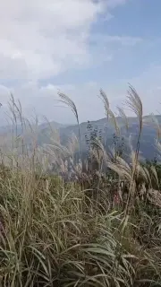 微点全媒体