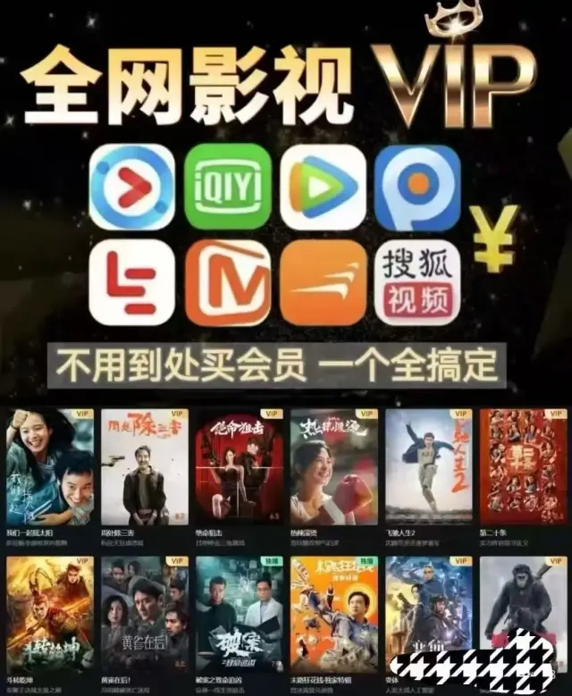全网影视VIP年卡统一卖39.9元，拿货成本1-2元，日入几百很简单，努力点上千-1