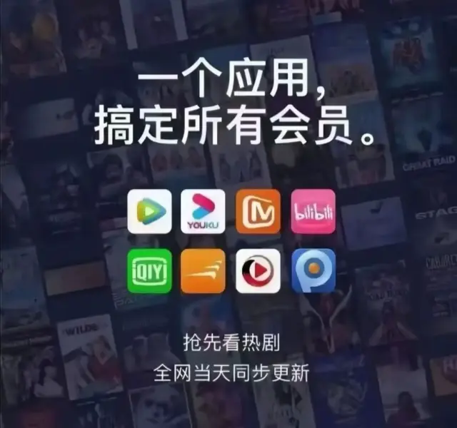 全网影视VIP年卡统一卖39.9元，拿货成本1-2元，日入几百很简单，努力点上千-2