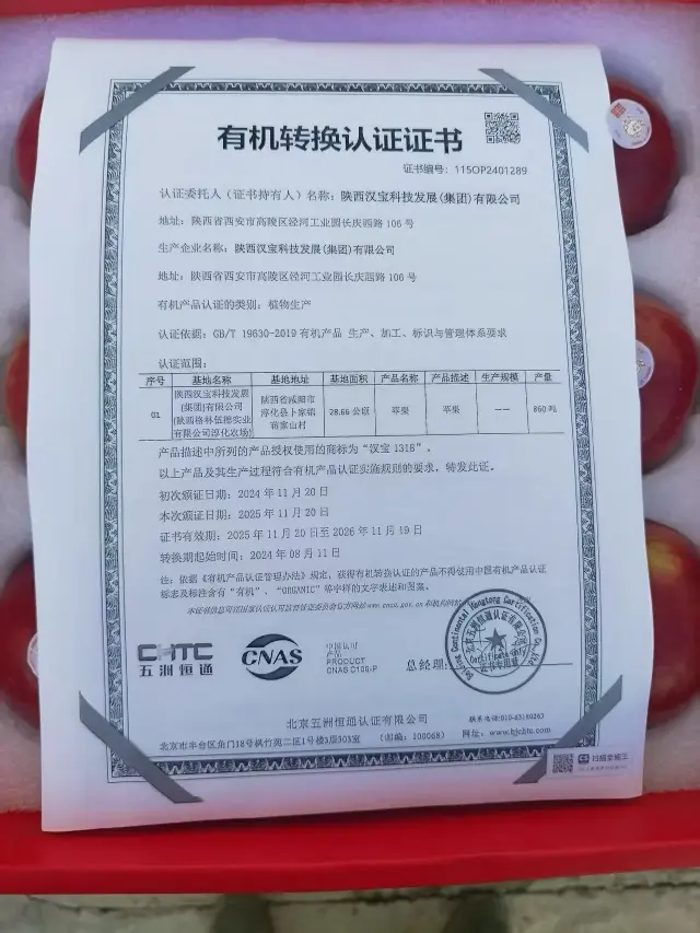 735亩三年土地转化有机苹果基地｜全国一件代发·招募团长达人-1