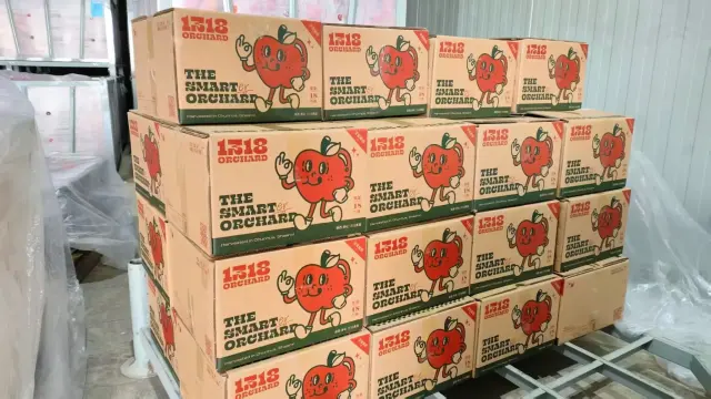 735亩三年土地转化有机苹果基地｜全国一件代发·招募团长达人-3