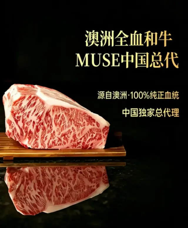 澳洲1265厂FB全血和牛MUSE-4