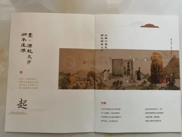 轻资产创业，全程扶上马！-4